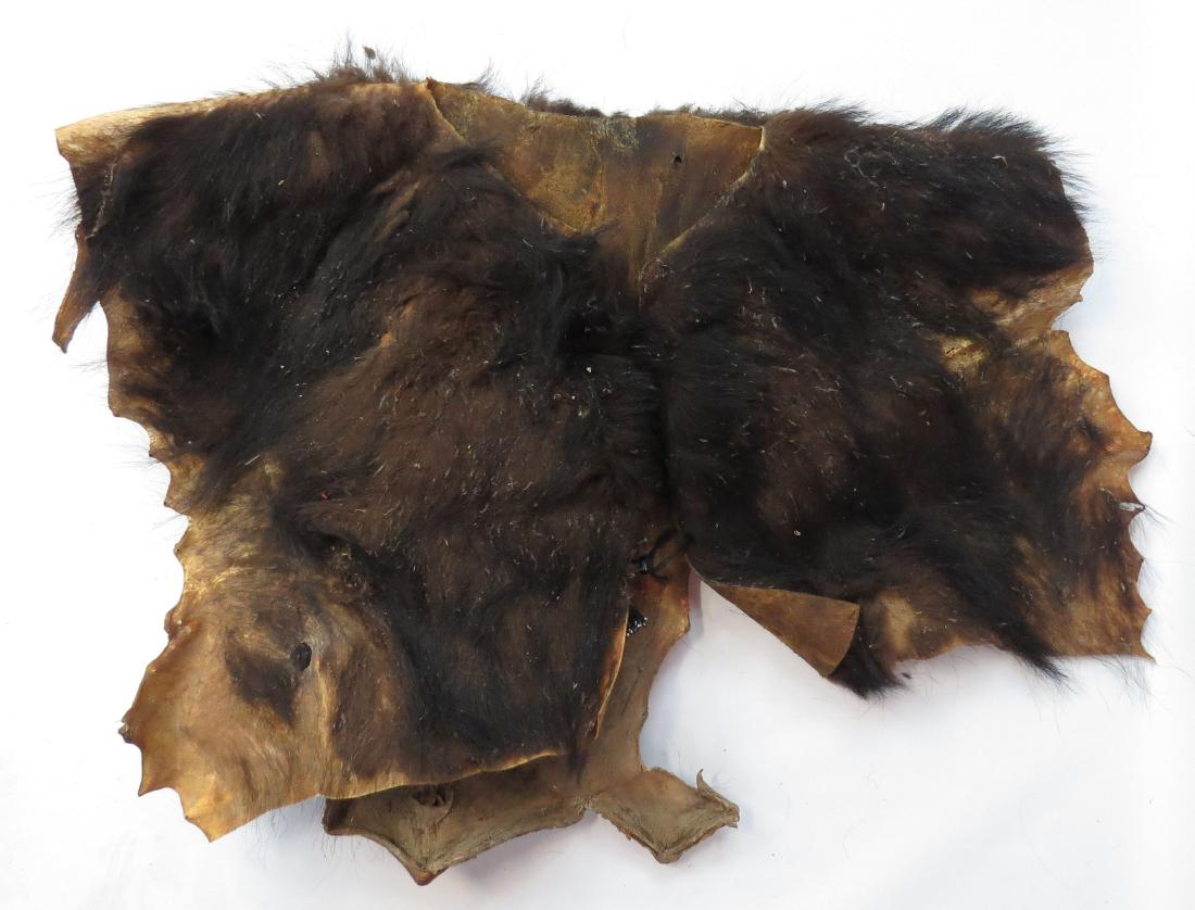 A RARE DAYAK WARCOAT (1 of 4)