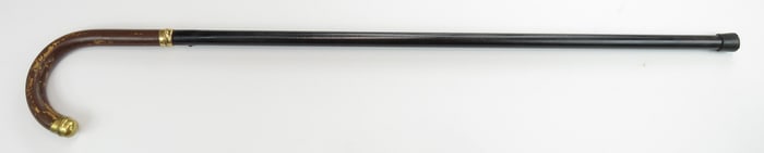 AN AMERICAN SWORDCANE