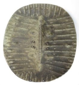 A RARE ETHIOPIAN SHIELD