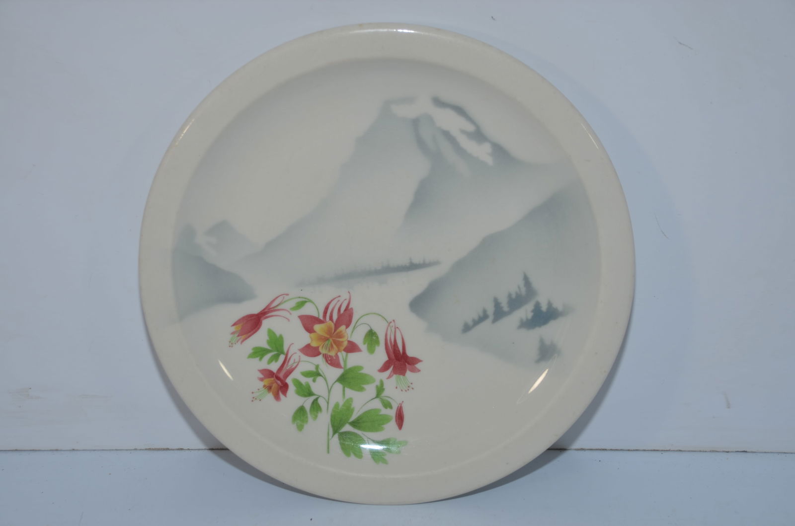 Great Northern RY Mountains and Flowers Pattern Dinner Plate: This is a Great Northern Railway MOUNTAINS AND FLOWERS pattern dinner plater. Measures 9.5 inches in diameter. Nice original condition with no chips or cracks. Backstamped SYRACUSE CHINA and GREAT NOR