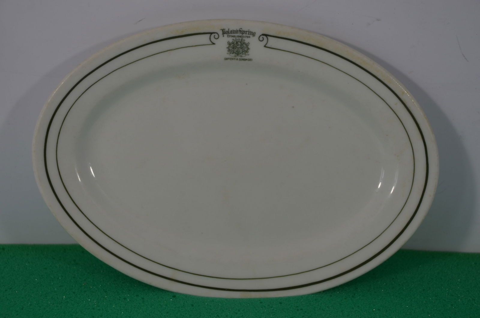 Poland Spring Hotel Small Serving Platter (1 of 4)