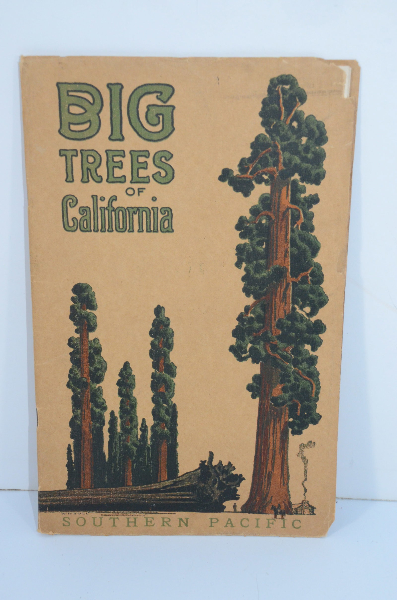 Southern Pacific RR-1910 Big Trees of California Booklet: This is a Southern Pacific Railroad 1910 Big Trees of California booklet. Has 32 pages, with many photos of the giant sequoia trees. Booklet encourages tourism via the SP to see these giant trees. Col