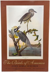 "The Birds Of America" by John James Audubon First Edition