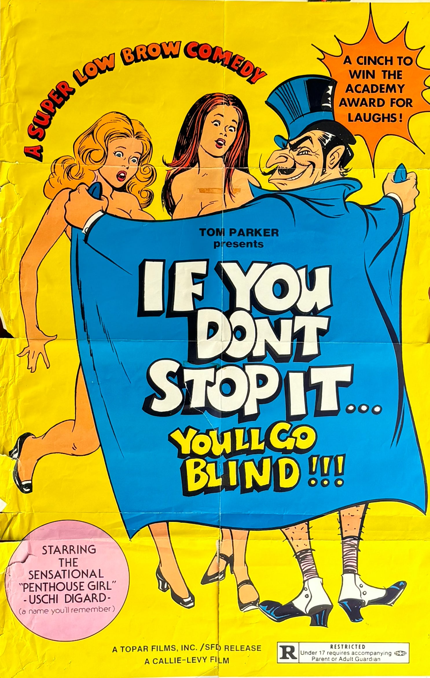 If You Don't Stop It... You'll Go Blind!!! 1975 Movie Poster: If You Don't Stop It... You'll Go Blind!!! & Other Lot (Topar, 1975). Folded (38" x 25") From the original owner who worked as an usher at a Lowes Theater in New York City. SHIPPING: All items for thi