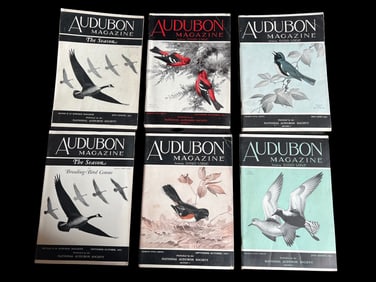 Lot of 4 Vintage Audubon Magazines Published by the National Audubon Society Estate of Roy Latham