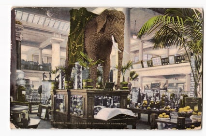 Exhibit Hall, Los Angeles Chamber of Commerce, Elephant Sculpture Display, c. 1909 Postcard