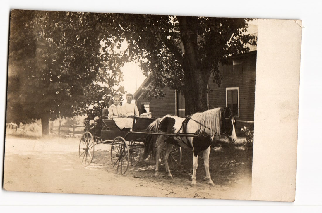 Real Photo Postcard: Two Women & Man in Horse-Drawn Carriage, Paint Horse, Rural Residence (1 of 2)