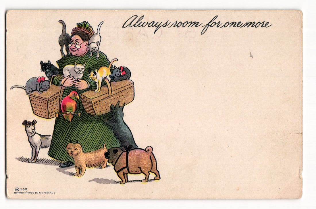 Woman with Baskets of Cats and Dogs, Parrot, "Always room for one more", 1905 F.S. Backus: The front of the postcard features a color illustration on an off-white background. The primary subject is a woman depicted in the left half of the composition, surrounded by numerous animals. She is