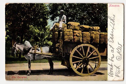Man on Donkey-Drawn Cart "The Carreton," Havana, Cuba, Early 20th Century Transportation