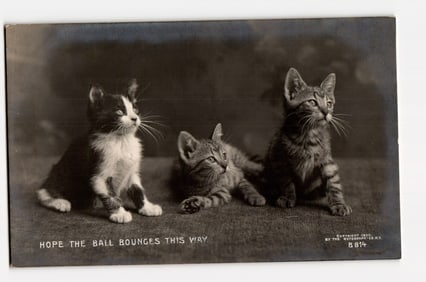 Antique 1905 Postcard: Three Kittens, "Hope The Ball Bounces This Way," Rotograph Co. N.Y. City