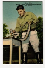 Ross Allen Milking Florida Diamond-Back Rattlesnake for Venom, Silver Springs, FL Postcard