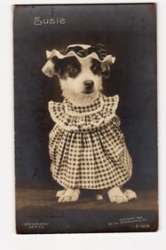 Real Photo Postcard: Dog Susie in Gingham Dress & Ruffled Bonnet, Rotograph Co. N.Y. 1906