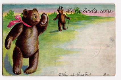 Teddy Bears "Come, birdie, come" Illustration Postcard, Fairview & Albion PA Postmarks 1907