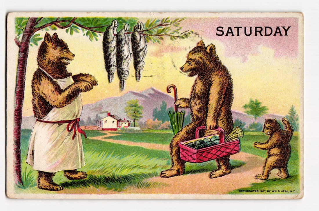 Saturday Bears: Anthropomorphic Bears, One in Apron, One with Fish Basket, 1907 Heal Postcard: This color illustrated postcard depicts an outdoor scene featuring three anthropomorphic bears. On the left, an adult bear stands facing right, wearing a white apron tied with a red sash, its paws cla