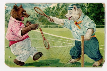 Illustrated Postcard: Anthropomorphic Bears Playing Tennis, 'ONE IN THE EYE!', Early 20th Cent.