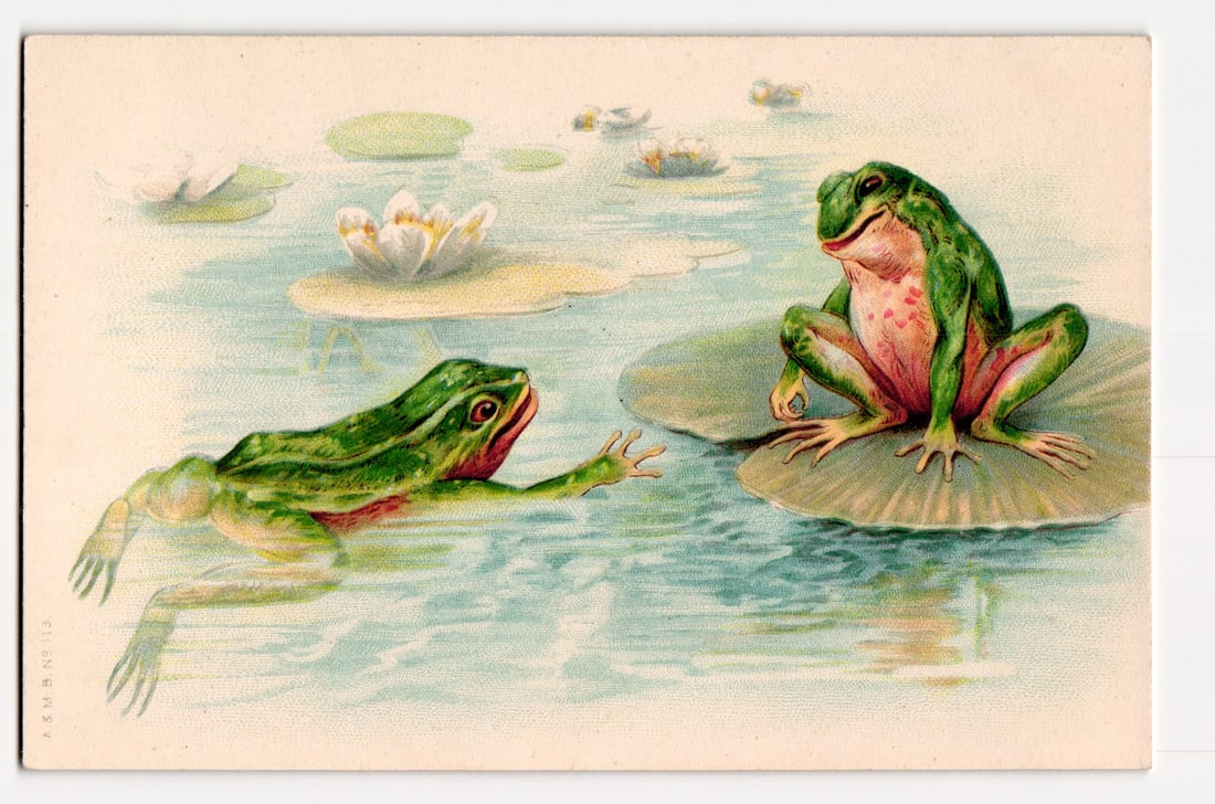 Two Anthropomorphic Frogs in Pond Setting, Russian Empire Chromolithograph Postcard, A&M.B. 113: An illustration depicting two anthropomorphic green frogs in a pond setting. One frog, on the left, is partially submerged and appears to be swimming towards the right, with its left arm extended. The