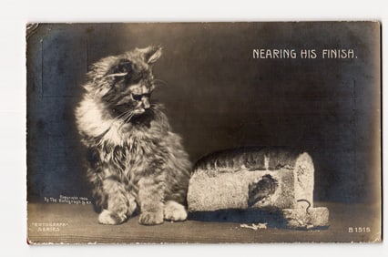 Cat Observing Mouse in Bread Loaf Postcard, "Nearing His Finish," Rotograph Co. 1905 NY, B1515