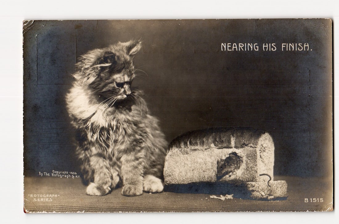 Cat Observing Mouse in Bread Loaf Postcard, "Nearing His Finish," Rotograph Co. 1905 NY, B1515 (1 of 2)
