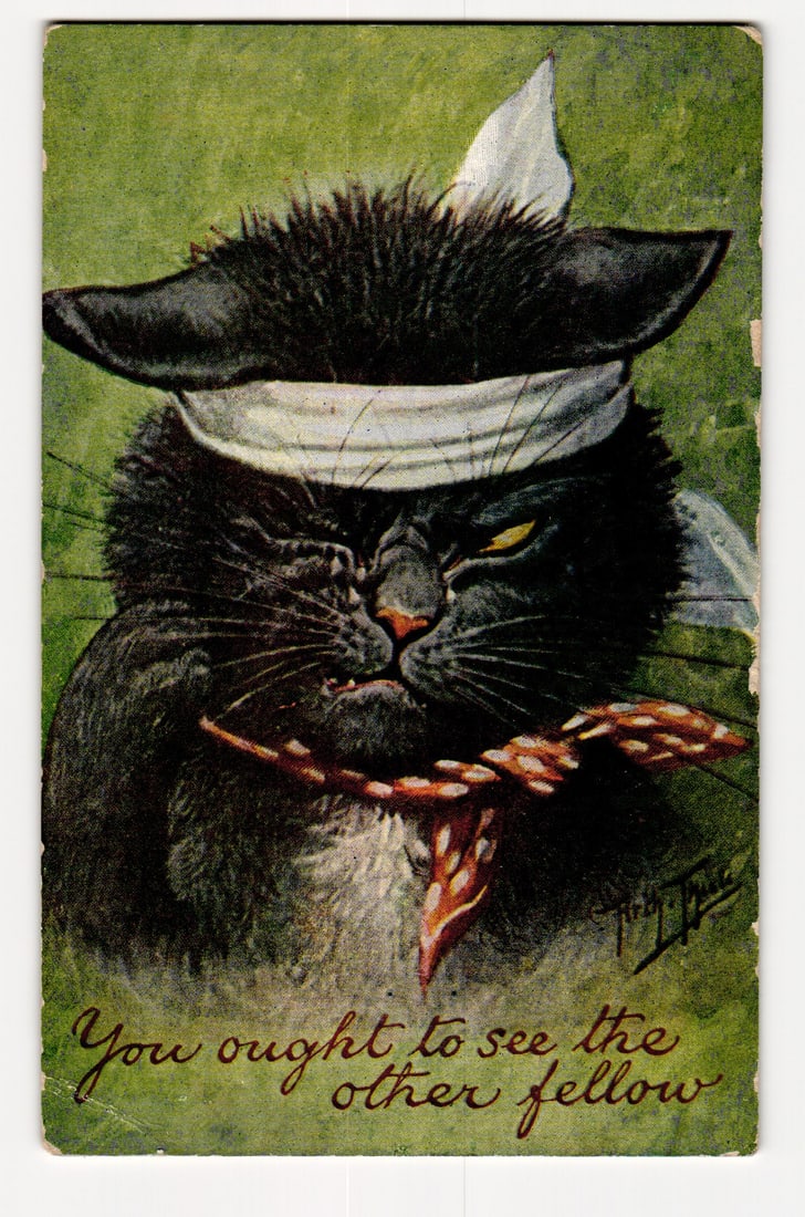 Anthropomorphic Black Cat, Bandaged Head, Polka Dot Bow, "You ought to see the other fellow": A color illustration features a close-up of a black cat with yellow eyes; its left eye is squinting and partially obscured by a white bandage. The bandage is wrapped around the cat's head, covering it