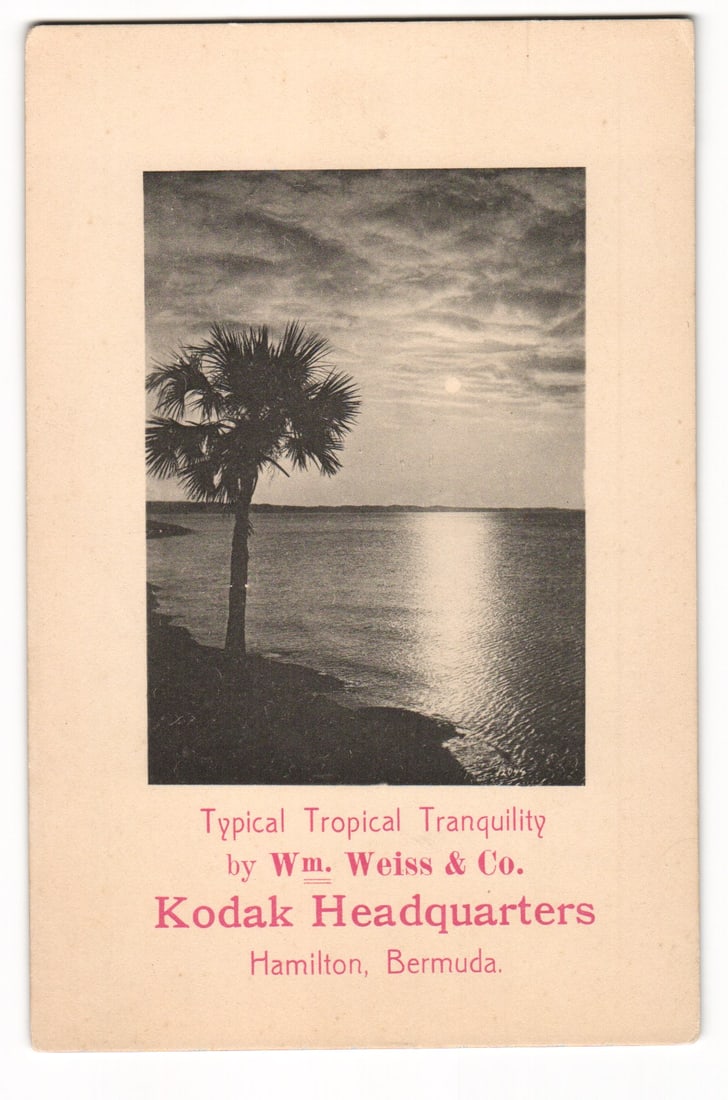 Tropical Tranquility Bermuda Postcard, Palm Tree at Sunset, Wm. Weiss & Co. Kodak Headquarters (1 of 2)