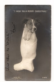 RPPC Dog Swaddled in Stocking "I WISH YOU A MERRY CHRISTMAS." 1906 Davenport, Iowa postcard