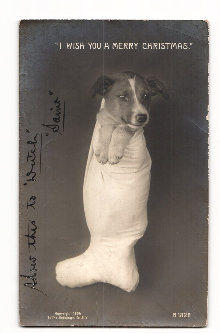 RPPC Dog Swaddled in Stocking "I WISH YOU A MERRY CHRISTMAS." 1906 Davenport, Iowa postcard (1 of 2)