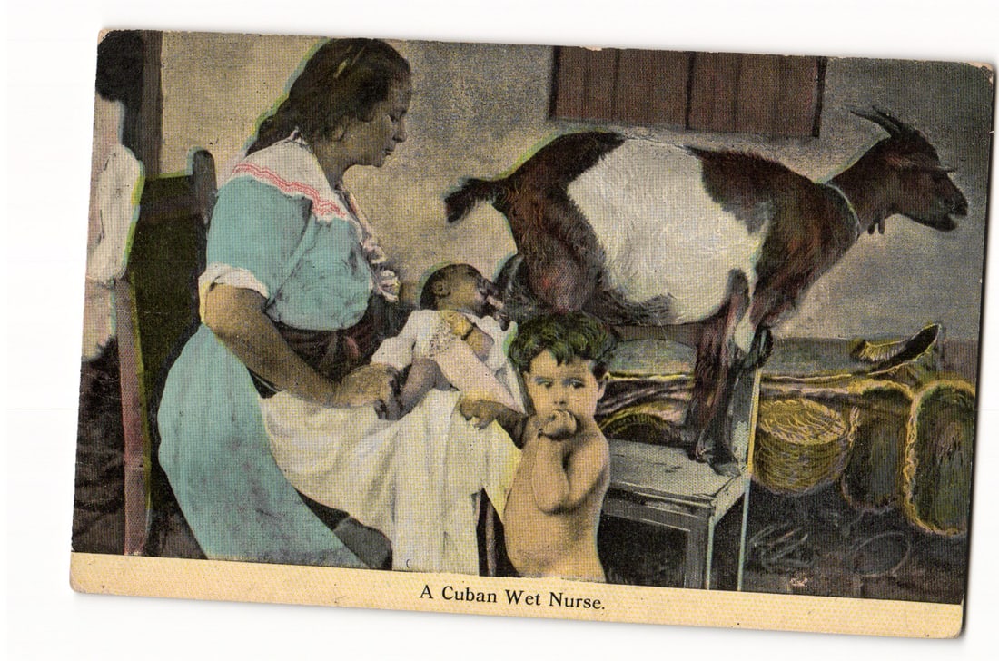 Cuban Wet Nurse with Infant, Child, and Goat, early 20th Century colorized photograph: A colorized photograph depicting a woman, identified as a Cuban Wet Nurse, seated on the left and holding an infant wrapped in white cloth. The woman wears a light blue dress with white and red detail