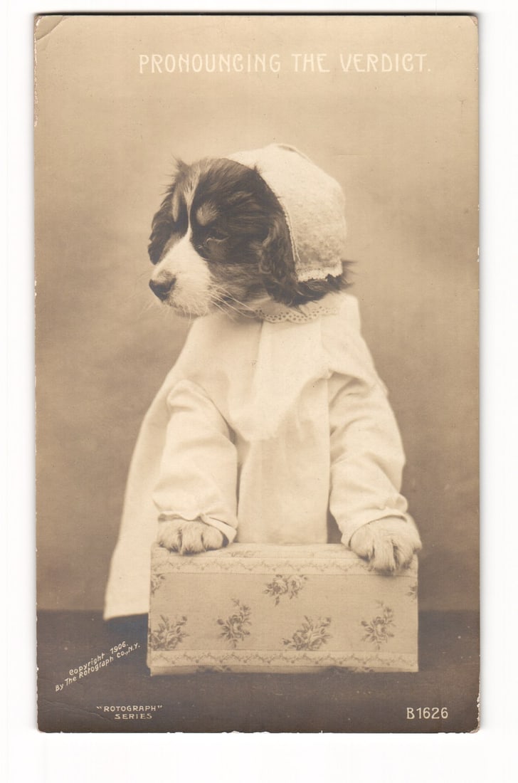 Pronouncing the Verdict RPPC: Dog in Bonnet & Gown, Rotograph Co. NY, 1906 Postcard (1 of 2)