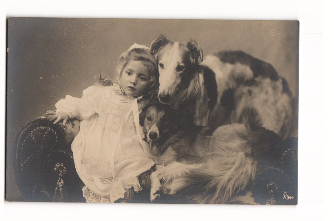RPPC Postcard Young Girl with Borzoi & Collie Type Dogs, Rotograph Co. New York A346 USA: This is a horizontally oriented Real Photo Postcard (RPPC) featuring a sepia-toned studio portrait. The primary subject is a young girl seated on ornate, upholstered furniture, possibly a chaise loung