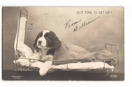 RPPC Postcard Dog in Miniature Bed "Is It Time To Get Up?" Rotograph Co. 1907 Brooklyn Postmark