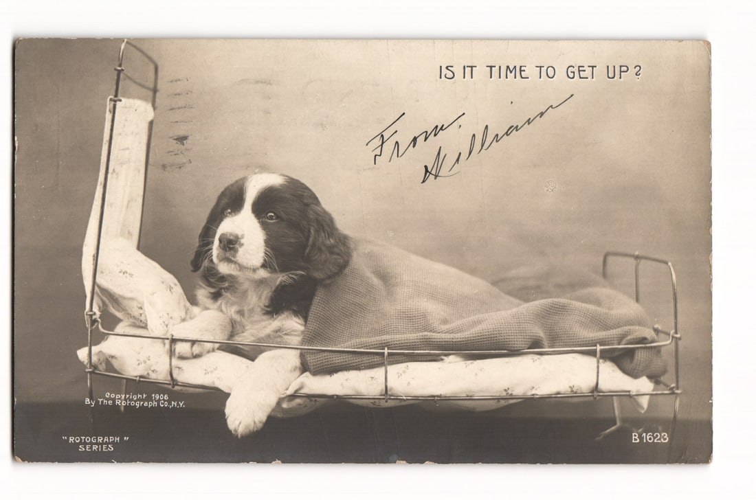 RPPC Postcard Dog in Miniature Bed "Is It Time To Get Up?" Rotograph Co. 1907 Brooklyn Postmark: This item is a Real Photo Postcard (RPPC) printed on bromide paper. The obverse features a sepia-toned photograph of a black and white dog, appearing to be a spaniel type, lying in a miniature metal-f