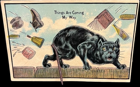 Mechanical Black Cat Comic Postcard with Real Spring Tail, “Things Are Coming My Way" 1912