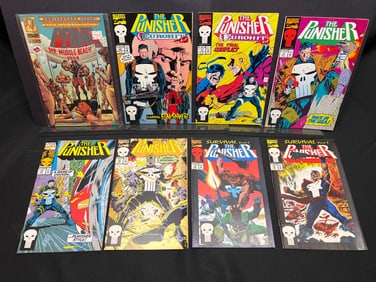 Lot of Assorted Comic Books as Shown, featuring Marvel's The Punisher & Malibu Comics Prime