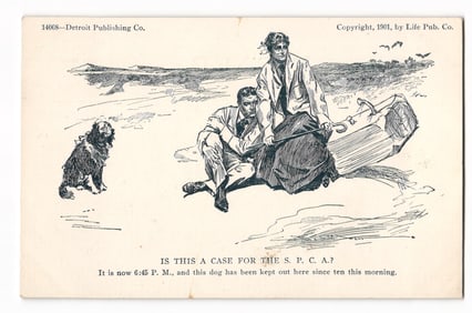 Postcard: "S.P.C.A. Case?" Dog Illustration, 1901, Life Pub. Co. & Detroit Publishing Co.
