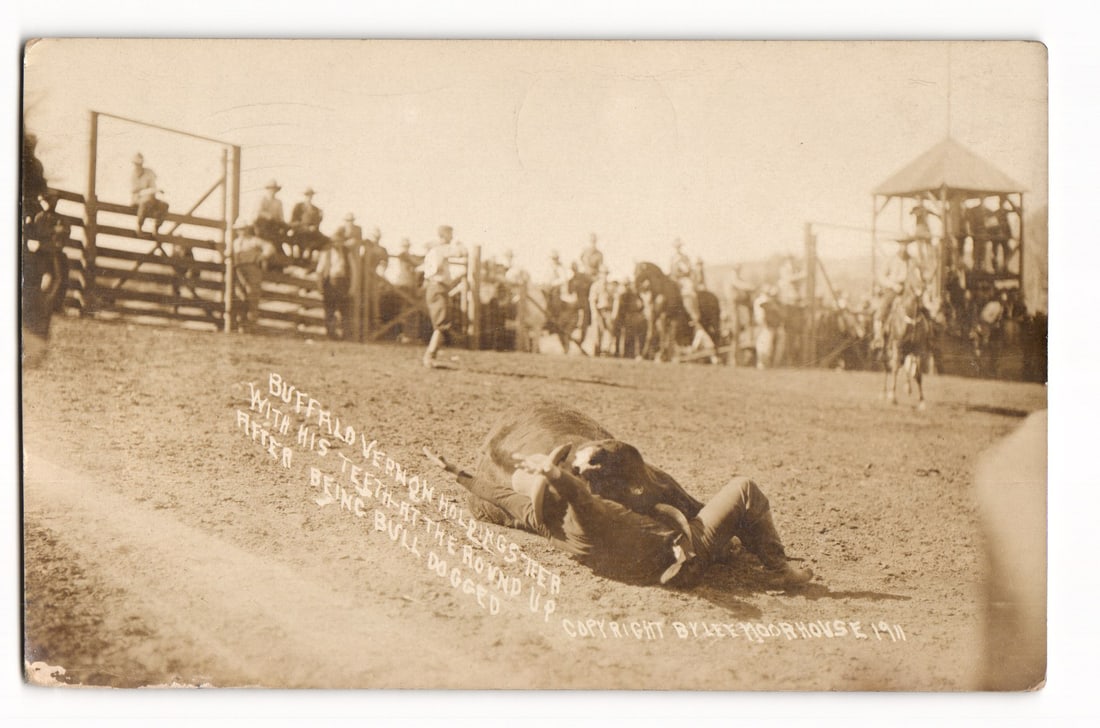 Postcard: Buffalo Vernon Bulldogging Steer with Teeth at Round Up, Photo by Lee Moorhouse 1911: Sepia photograph, low-angle rodeo view. Foreground: man (Buffalo Vernon per text) bulldogging steer, holding its lip with teeth; steer on back on dirt. Background: spectators on fence (left), standing
