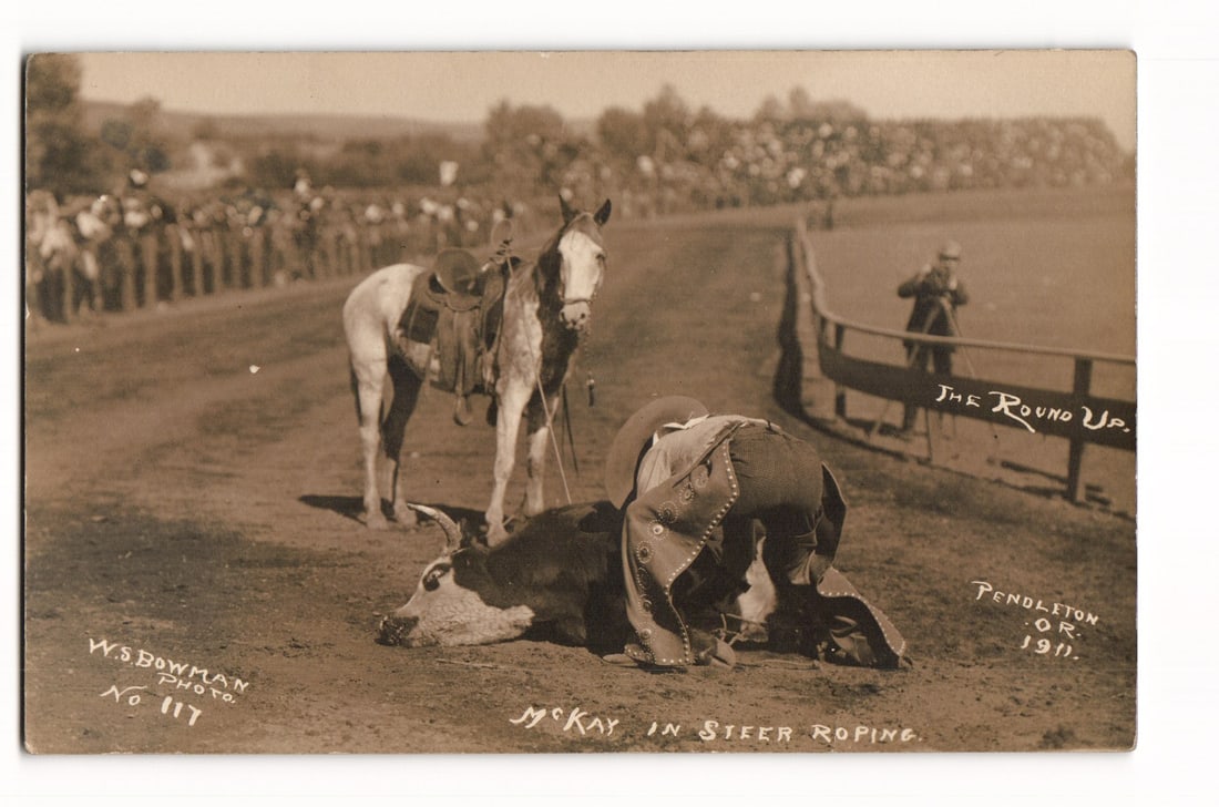 RPPC Postcard: McKay in Steer Roping at The Round Up, Pendleton, Oregon, 1911, W.S. Bowman Photo (1 of 2)