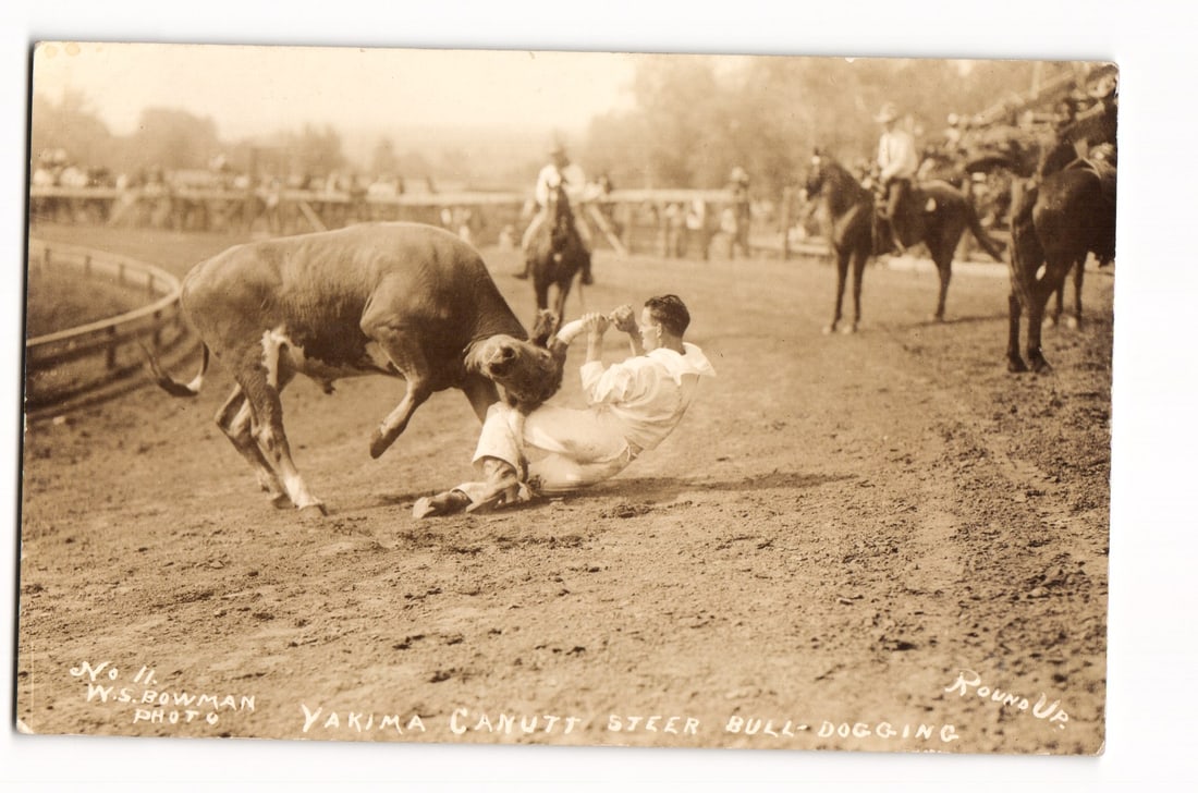 Yakima Canutt Steer Bull-Dogging at Roundup, Action Photograph by W.S. Bowman Postcard No. 11 (1 of 2)