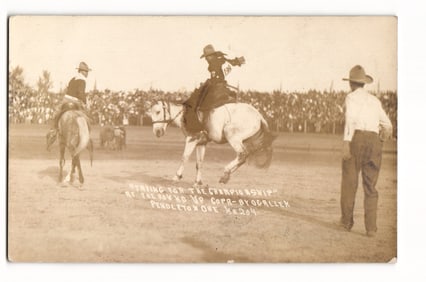 Rodeo: "Trying for the Championship" at the Round Up, Pendleton, Ore. Ogallen Photo Postcard