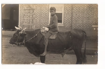 Real Photo Postcard: Young African American Child Astride Horned Bovine, AZO Stamp Box Back
