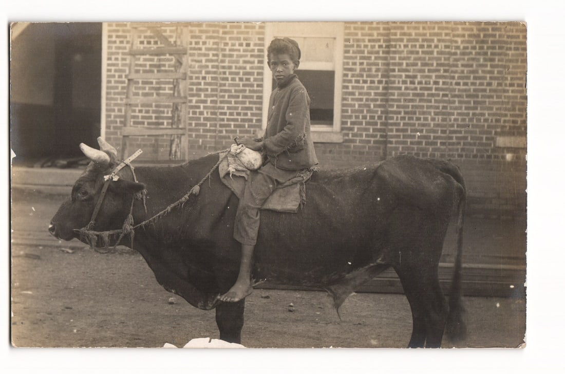 Real Photo Postcard: Young African American Child Astride Horned Bovine, AZO Stamp Box Back: A sepia-toned, full-length photograph shows a young African American child, barefoot, wearing a jacket and trousers, seated atop a dark-colored, horned bovine, which is equipped with a halter and a cl