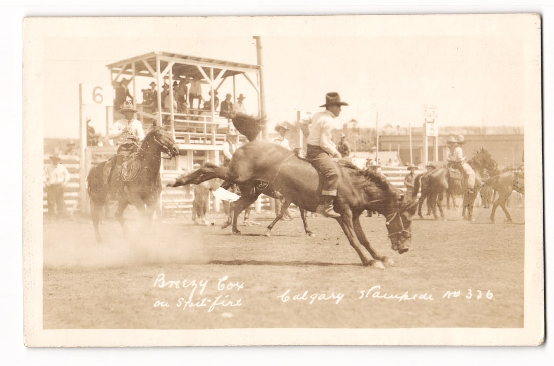 Real Photo Postcard of Breezy Cox on Spitfire, a Bucking Bronco at Calgary Stampede No. 336 (1 of 2)