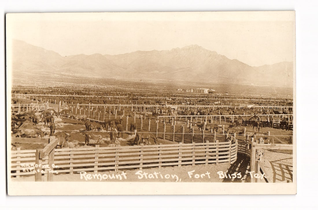 Expansive View of Remount Station, Fort Bliss, Tex. Horses in Corrals, Photographic Postcard: A sepia-toned photograph depicting an expansive view of a remount station. Numerous wooden corrals filled with horses or mules occupy the foreground and mid-ground, extending towards a flat, arid plai
