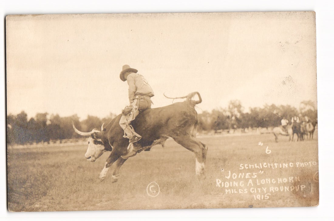 Real Photo Postcard: "Jones" Riding Longhorn Bull, Miles City Roundup, 1915, Schlichting Photo (1 of 2)