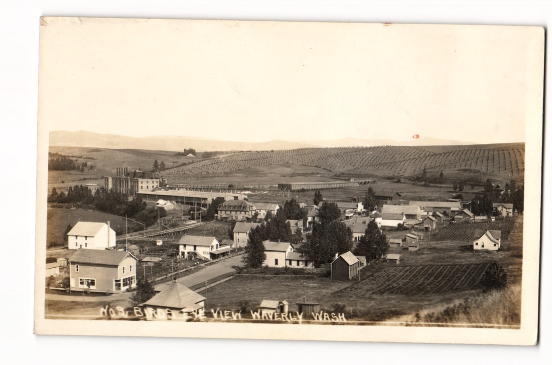 No 3 Bird's Eye View of Waverly, Washington Real Photo Postcard, Early 20th Century, AZO (1 of 2)