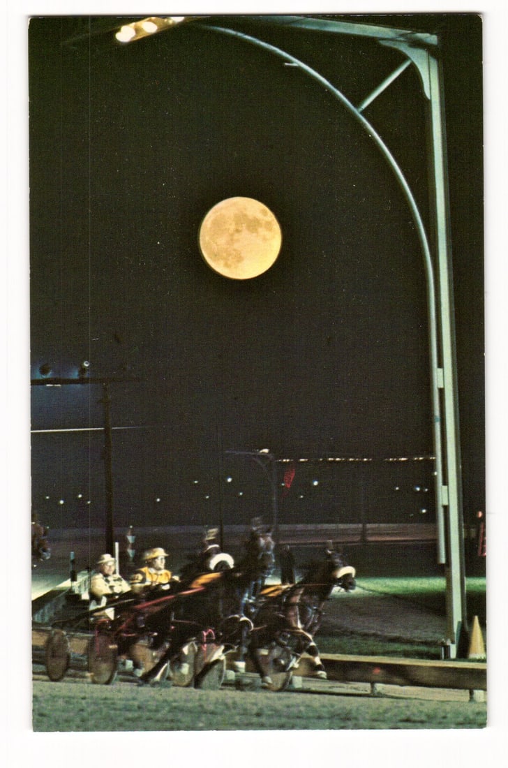 Roosevelt Raceway, Westbury, NY: Nighttime Harness Racing Scene with Prominent Full Moon Postcard (1 of 2)
