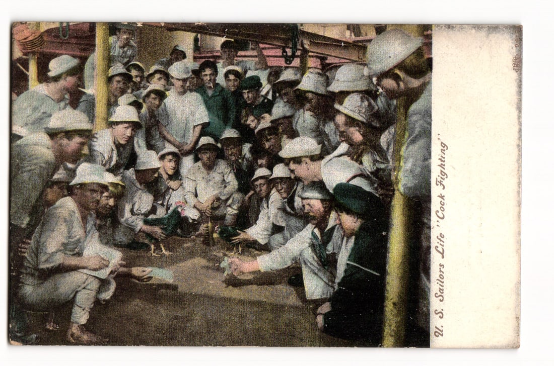 Postcard: U.S. Sailors Life "Cock Fighting," Onboard Scene, National R'W'Y. News Co. Publisher: A colorized image depicting a group of men, presumably U.S. sailors, gathered in a circle observing a cockfight between two roosters. The men are dressed in various light-colored uniforms and hats, in