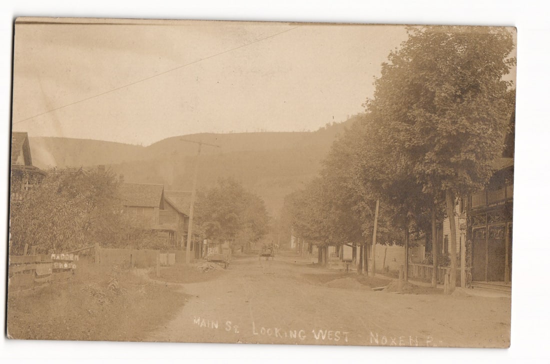 Noxen, PA Main Street Looking West, Early 20th Century Real Photo Postcard, 1911 Postmark: A sepia-toned photographic view shows Main Street in Noxen, Pennsylvania, looking west. The unpaved street recedes into the distance, flanked by mature trees on both sides. Wooden buildings, some with