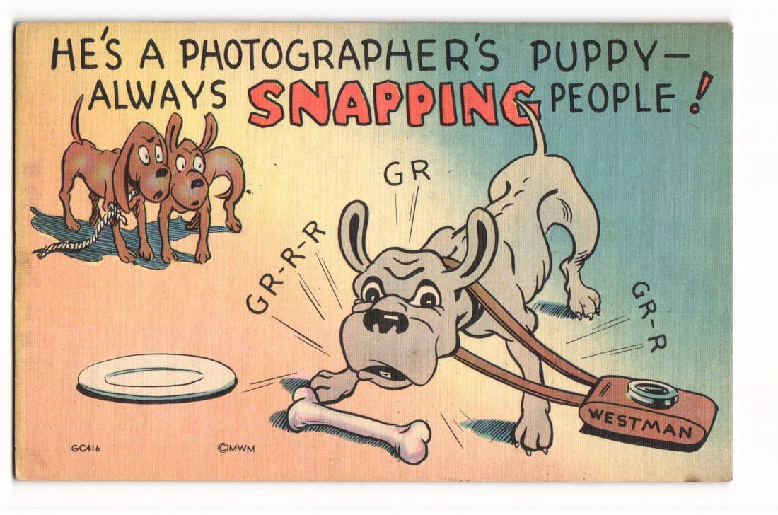 Cartoon Dogs "Snapping People" Photographer's Puppy MWM Color-Litho Postcard, Aurora, Mo.: The postcard features a color cartoon illustration. In the foreground, a light gray bulldog-like puppy with large, expressive eyes and floppy ears tugs aggressively on the strap of a brown and silver