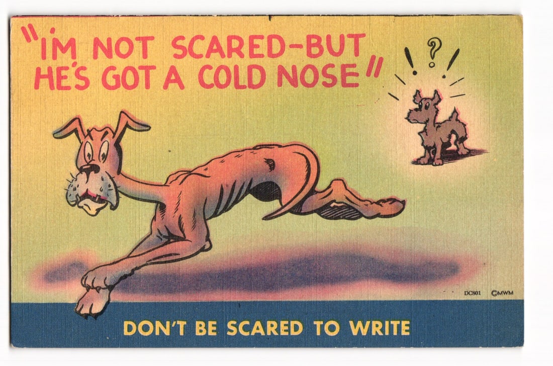 Cartoon Dogs "Cold Nose" Gag Comic Postcard, Mountain Home AR 1946, MWM Color-Litho: The postcard front features a color cartoon illustration. A larger, light brown dog is depicted stretched out, appearing to recoil, its eyes wide and mouth slightly agape. The caption ""IM NOT SCARED-