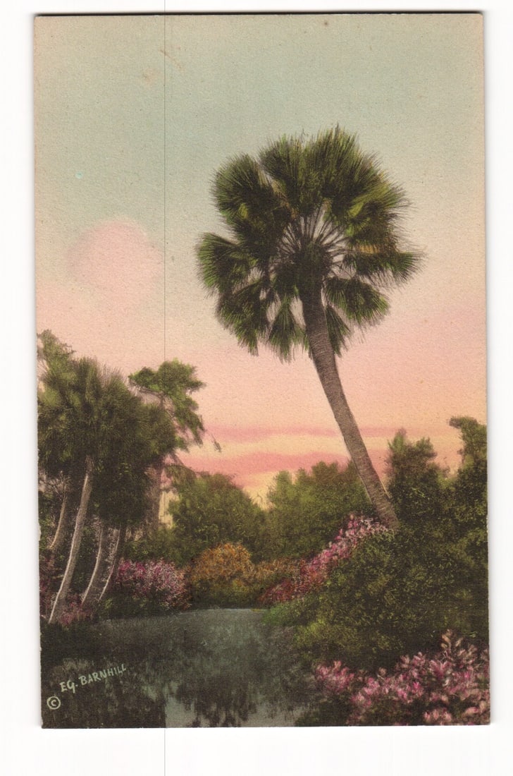 E.G. Barnhill Hand Colored Postcard: Palm, Bird Sanctuary at Bok Singing Tower, Lake Wales, Fla. (1 of 2)